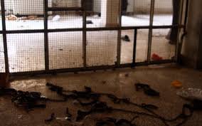 توثيق ضحية فلسطينية جديدة قضت تحت التعذيب ترفع حصيلة ضحاياه إلى 531 لاجئاً