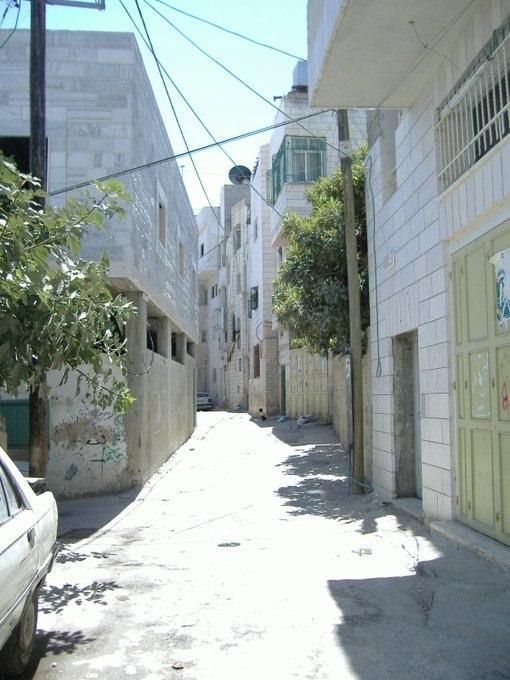 الفلسطيني لا يملك في لبنان ولو اكتسب الجنسية اللبنانية