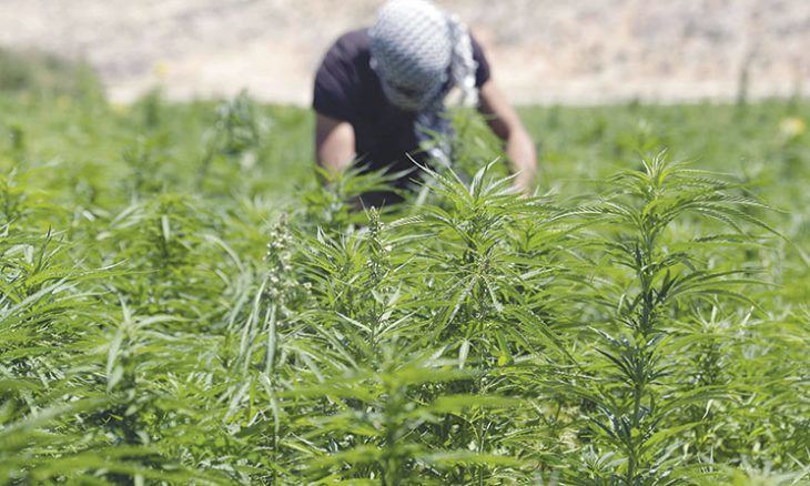المخدرات تجتاح حياة اللاجئين الفلسطينيين في لبنان