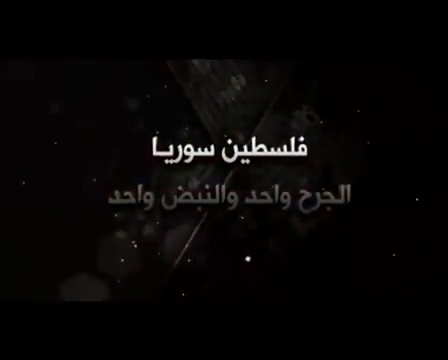التجمع الفلسطيني لنصرة الثورة السورية .. هل هو بداية التحول لحماس؟